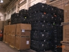 plant-inside-3